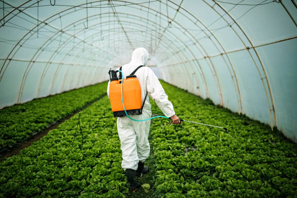 Best Pest Removal Services  in Miramar Beach, FL