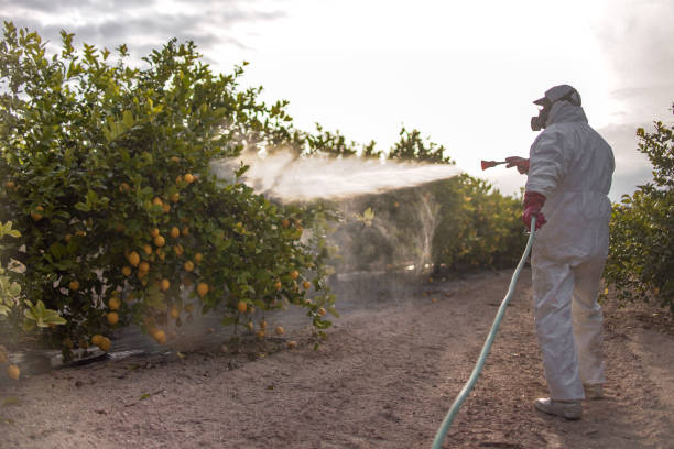 Pest Control for Restaurants in Miramar Beach, FL