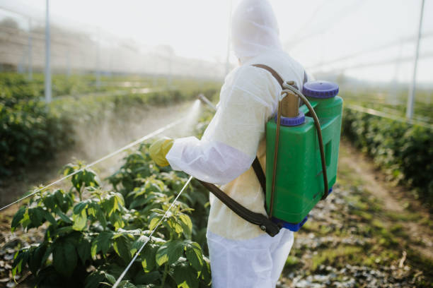 Best Pest Control Near Me  in Miramar Beach, FL